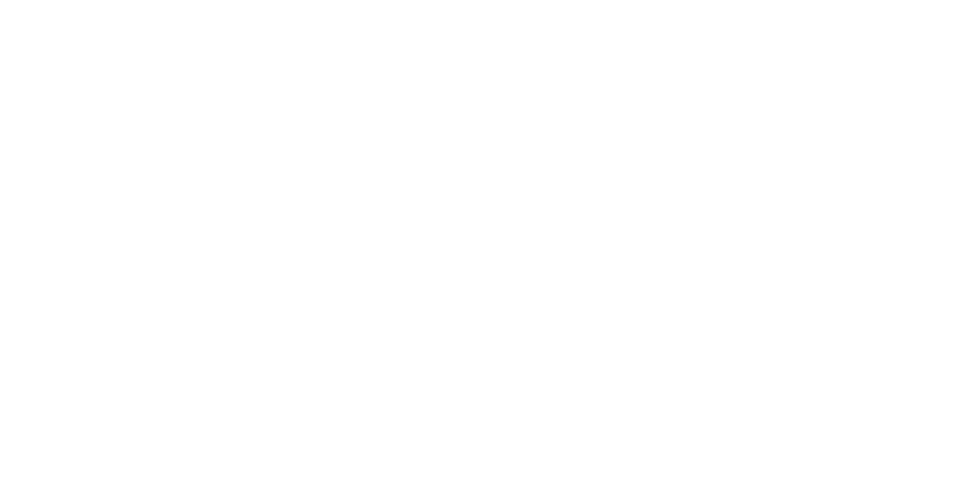 Logo de Lucas Fox